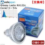 ボルクスジャパン　Ｇｒａｓｓｙ　ＬｅＤｉｏ　ＲＸ１２２ｃ　Ｃｏｒａｌ／コーラル　沖縄別途送料