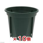  горшок с разрезом EUPOT 8cm moss green 10 штук входит 