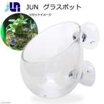 JUNgla спот аквариум водоросли 