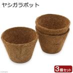  горшок cocos nucifera gala pot 126×100×80mm 3 шт. комплект 