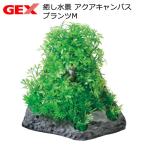 ＧＥＸ　癒し水景　アクアキャンバス　プランツＭ