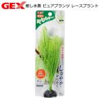 ＧＥＸ　癒し水景　ピュアプランツ　レースプラント