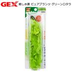 ＧＥＸ　癒し水景　ピュアプランツ　グリーンロタラ