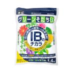 花ごころ　ＩＢのチカラ　グリーン