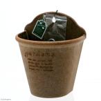  горшок висячий eko pot 210 натуральный eko pot цветочный горшок орнамент 