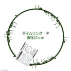 支柱　ＤＡＩＭ　ダイムリング　中　直径　２７ｃｍ　家庭菜園　ベランダ菜園