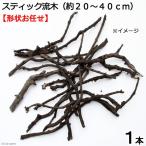 形状お任せ　煮込み済み　スティック流木（約２０〜４０ｃｍ）　１本　アクアリウム　テラリウム　レイアウト素材