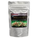 シラクラ　エビ玉シュリンプフード　３０ｇ（小）　ビーシュリンプ　海藻ベース　成長　色揚げ