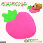  Rainbow .... . futon bed коврик заяц хорек 