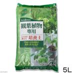  cубстрат Seto штук . цветок . декоративное растение специальный cубстрат 5L садоводство специальный земля салон садоводство 