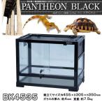 三晃商会　レプティワイルド　パンテオン　ブラック　ＢＫ４５３５（４５．５×３０．５×３５ｃｍ）お一人様１点限り