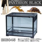 ショッピングテラリウム 三晃商会　パンテオン　ブラック　ＢＫ６０４５（６０．５×４５．５×４５ｃｍ）お一人様１点限り