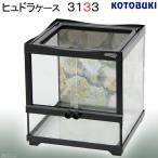 爬虫類ケージ コトブキ工芸 ヒュドラケース 3133(310×304×330mm) 爬虫類 飼育 寿工芸 ガラスケージ お一人様2点限り