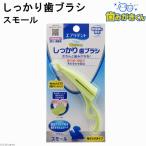  earth * домашнее животное Every tento зуб ... kun надежно зубная щетка маленький 