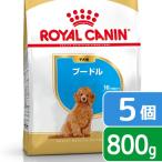 ロイヤルカナン　プードル　子犬用　８００ｇ×５袋　３１８２５５０７８８１３７　ジップ付　お一人様２点 ...