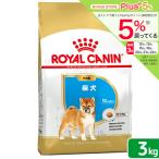 送料無料　ロイヤルカナン　柴犬　