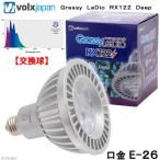 ボルクスジャパン　Ｇｒａｓｓｙ　ＬｅＤｉｏ　ＲＸ１２２　Ｄｅｅｐ　サンゴ　色揚げ　沖縄別途送料