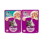 キャットフード　成猫用　カルカン　パウチ　お魚ミックス　７０ｇ　２種１６袋入　