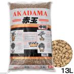 土　硬質赤玉土　中粒　１３リットル（約９ｋｇ）　単用土　底床　メダカ　お一人様２点限り
