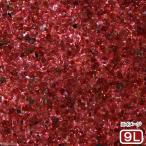 ショッピングGARNET Ｎｏ．２６　Ｇａｒｎｅｔ（ガーネット）　９リットル（６０ｃｍ水槽用）