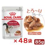 ショッピング09 ロイヤルカナン　猫　インスティンクティブ　グレービー　成猫用　８５ｇ　１箱４８袋　お一人様１点限り