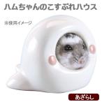 アウトレット品　マルカン　ハムちゃんのこすぷれハウス　あざらし　ドワーフ　訳あり