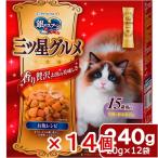 キャットフード 銀のスプーン 三ツ星グルメ 腎臓の健康維持に配慮 15歳が近づく頃から 240g×14個