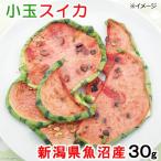 新潟県魚沼産 小玉スイカ 30g 国産 小動物用のおやつ