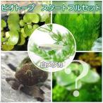 ( оризия ) белый me Dakar начинающий полный комплект биотоп для 