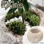 形状おまかせ　抗火石鉢　中　穴径８〜９ｃｍ　１個　ミニミニ盆栽鉢