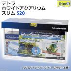 テトラ　ホワイトアクアリウム　スリム　５２０　５２ｃｍ水槽セット　初心者　お一人様１点限り