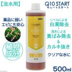 魚・エビに優しいカルキ抜き　Ｑ１０スタート　淡水用　５００ｍＬ　植物由来 白濁除去