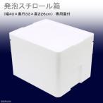発泡スチロール箱(中)TI−220−2(幅40×奥行33×高さ26cm) フタ付き お一人様1点限り