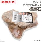 kami - ta аквариум блокировка оранжевый слой камень вид оставив решение кому-то другому 