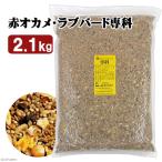 キクスイ 赤オカメ・ラブバード専科 L 2.1kg 皮付き