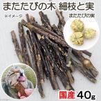 国産　またたびの木細枝(４０ｇ)と実　虫えい果　(３〜４個)　猫用おもちゃ　無添加　無着色