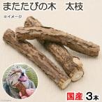 国産　またたびの木　太枝　３本入り　猫用おもちゃ　無添加　無着色