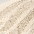 オカヤドカリの天然サンゴ砂　１Ｌ　敷砂　敷材
