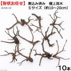 形状お任せ　煮込み済み　極上流木　Ｓサイズ（約１０〜２０ｃｍ）１０本　アクアリウム　テラリウム　レイアウト素材　沖縄別途送料