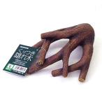 niso-.. есть .. дерево L аквариум произведение искусства 