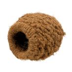 川井　コナッツ　ツボ巣　大