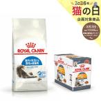 ロイヤルカナン　猫　室内で生活する長毛の成猫用　ドライフード　４００ｇ　ジップ無し＋皮膚被毛に配慮　パウチ１２袋　お一人様５点限り