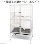 アウトレット品　４階建て大型ケー