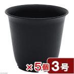  суккулентное растение pra горшок 3 номер ×5 шт чёрный .. изменение 