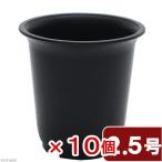  суккулентное растение pra горшок 2.5 номер ×10 шт чёрный .. изменение 