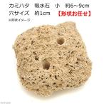 kami - ta. камень суйсеки маленький примерно 6~9cm дыра размер примерно 1cm террариум Pal dalium надеты сырой koke
