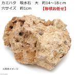 kami - ta. камень суйсеки большой примерно 14~18cm дыра размер примерно 1cm террариум Pal dalium надеты сырой koke