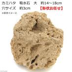 kami - ta. камень суйсеки большой примерно 14~18cm дыра размер примерно 3cm террариум Pal dalium надеты сырой koke