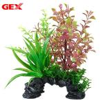 ＧＥＸ　癒し水景　ＭＩＸプランツ　ミニアーチ　レッドロタラ