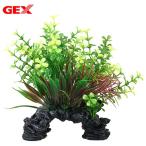 ＧＥＸ　癒し水景　ＭＩＸプランツ　ミニアーチ　リシマキア